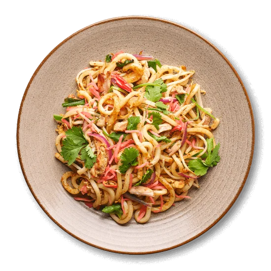 Ginger Chicken Udon
