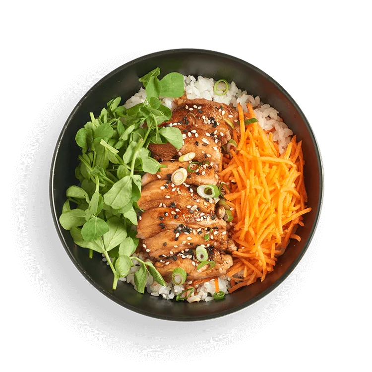 Chicken Thigh Teriyaki Donburi